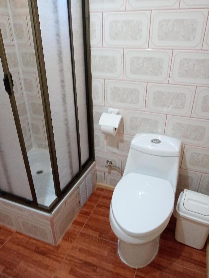 Flor/Victoria Bed & Breakfast Villarrica Dış mekan fotoğraf