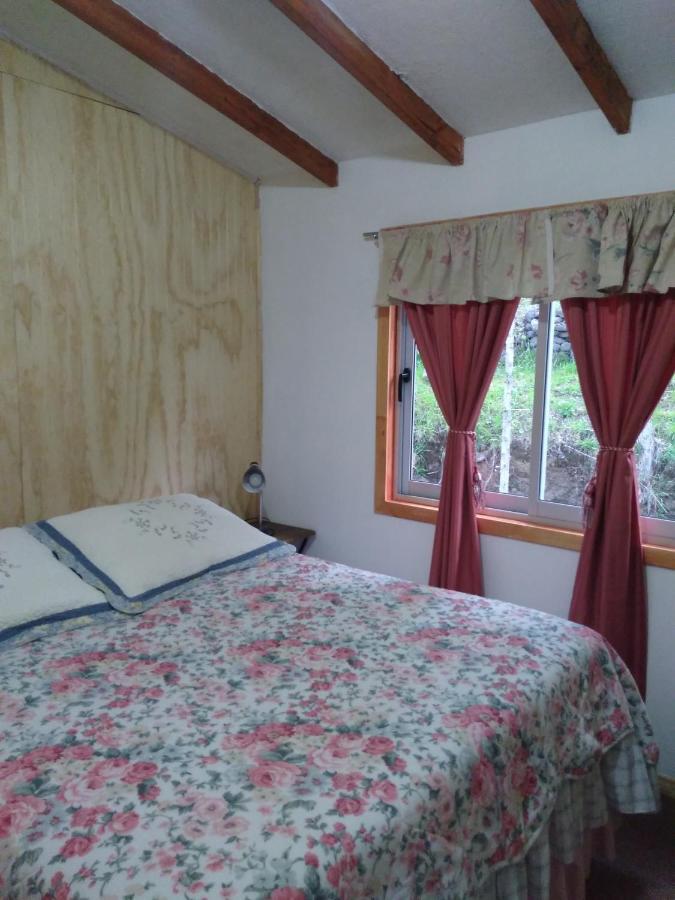 Flor/Victoria Bed & Breakfast Villarrica Dış mekan fotoğraf