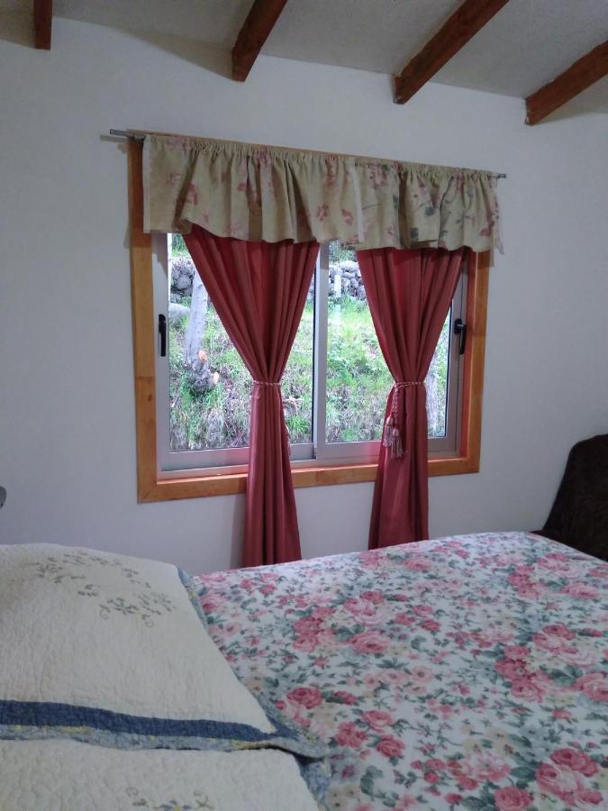 Flor/Victoria Bed & Breakfast Villarrica Dış mekan fotoğraf